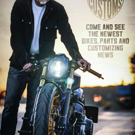 13 TB AZ Custombike Katalog 2018