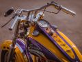 30  Harley Davidson   30. Juli 2020  www.benott.de  LEICA SL2