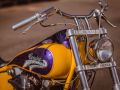 32  Harley Davidson   30. Juli 2020  www.benott.de  LEICA SL2