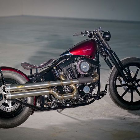 21  Evo Springer with Annabelle   Alessandro   19. Dezember 2020  FOTO  C  BEN OTT  DC S5
