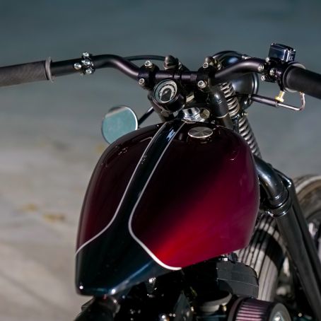 22  Evo Springer with Annabelle   Alessandro   19. Dezember 2020  FOTO  C  BEN OTT  DC S5