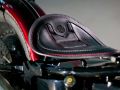 23  Evo Springer with Annabelle   Alessandro   19. Dezember 2020  FOTO  C  BEN OTT  DC S5