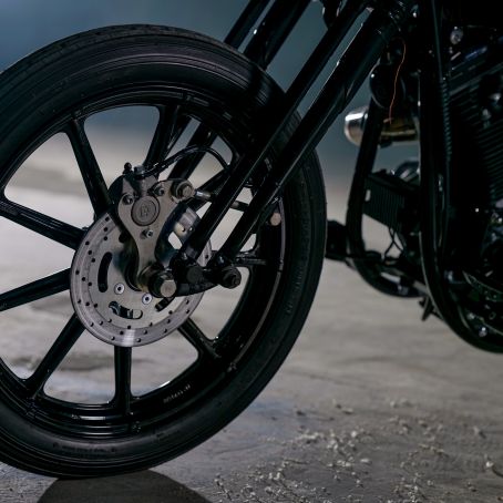 25  Evo Springer with Annabelle   Alessandro   19. Dezember 2020  FOTO  C  BEN OTT  DC S5